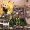 Els pol·linitzadors i l'apicultura a les ciutats com a valors per la biodiversitat