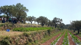 Can Monmany a Sant Cugat del Vallès