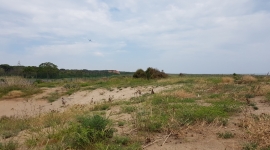 Solucions basades en la natura: la infrastructura blava fluvial i litoral