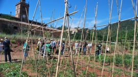 Horts de Can Monmany